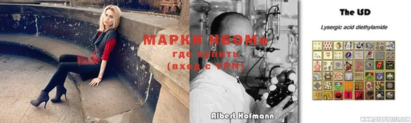 твердый Абаза