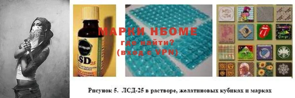 твердый Абаза