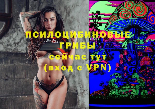 соль курить ск Алзамай