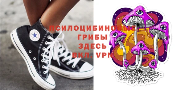 соль курить ск Алзамай
