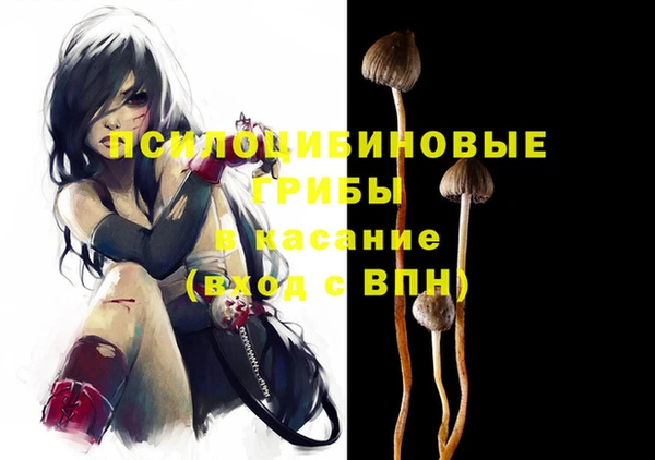 соль ск Абинск