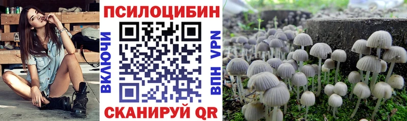 где купить наркоту Елизово Псилоцибиновые грибы мухоморы