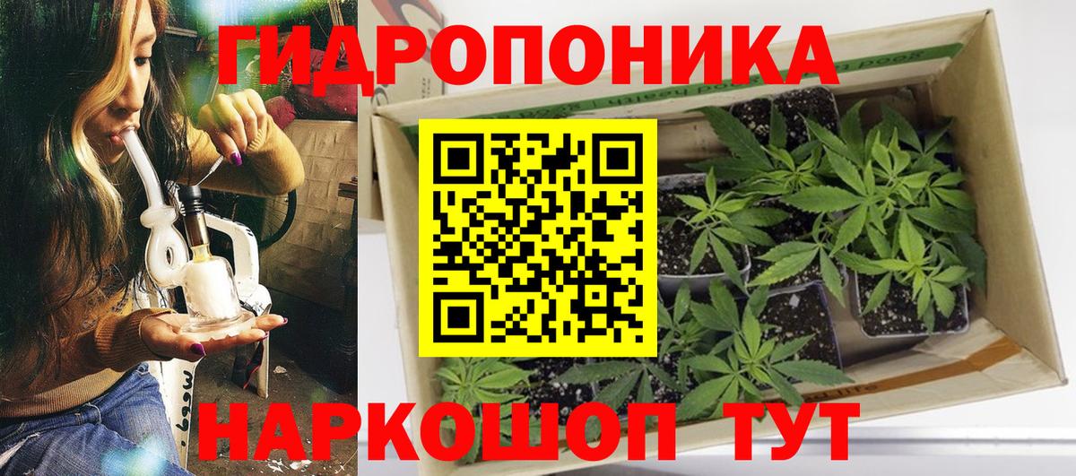 Шишки марихуана Amnesia Елизово